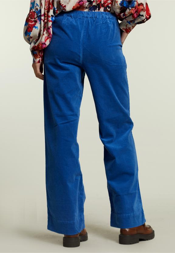 Blauwe Fluwelen Broek Met Elastische Band - Groen