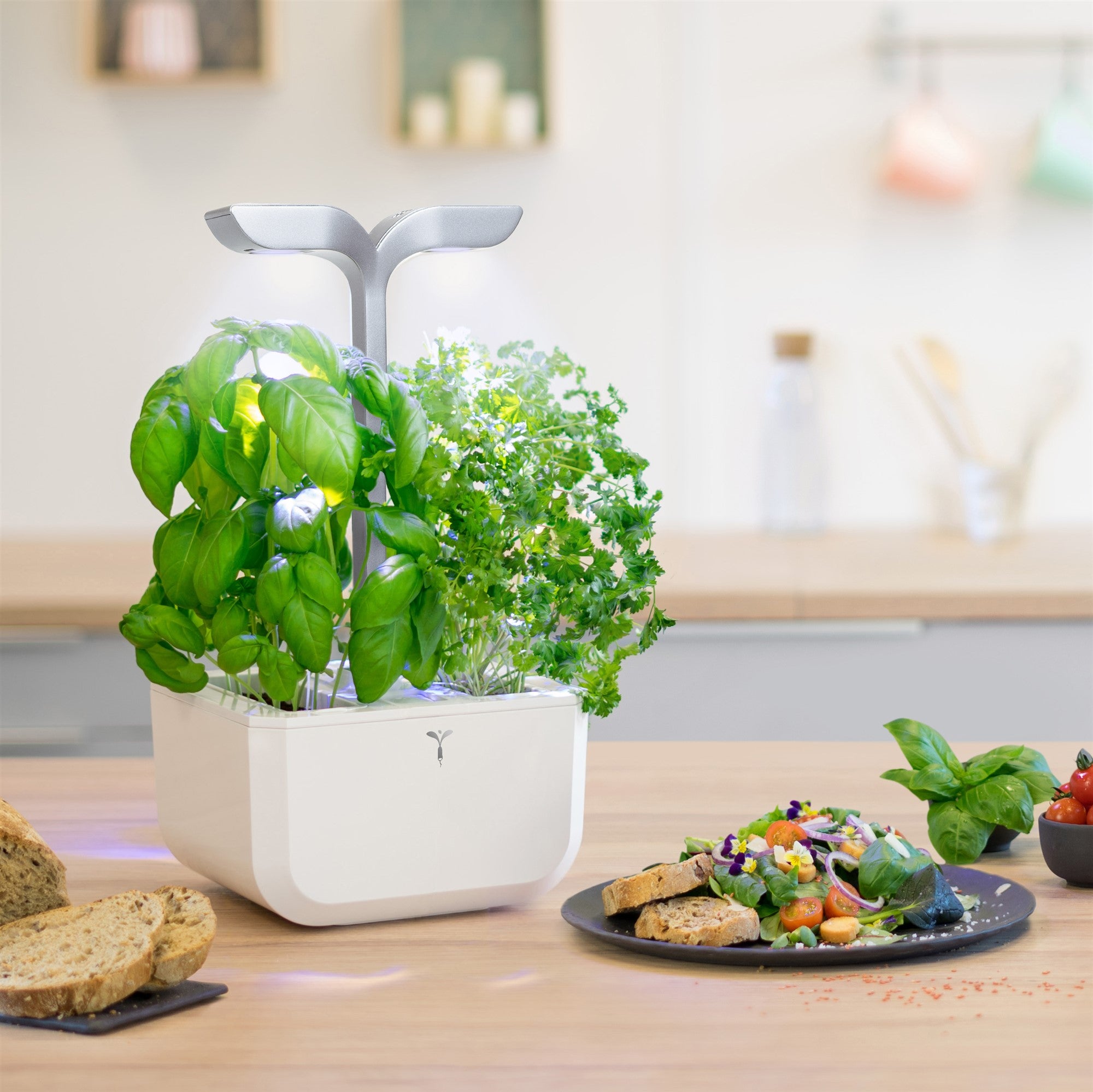 Exky® SMART Indoor Garden