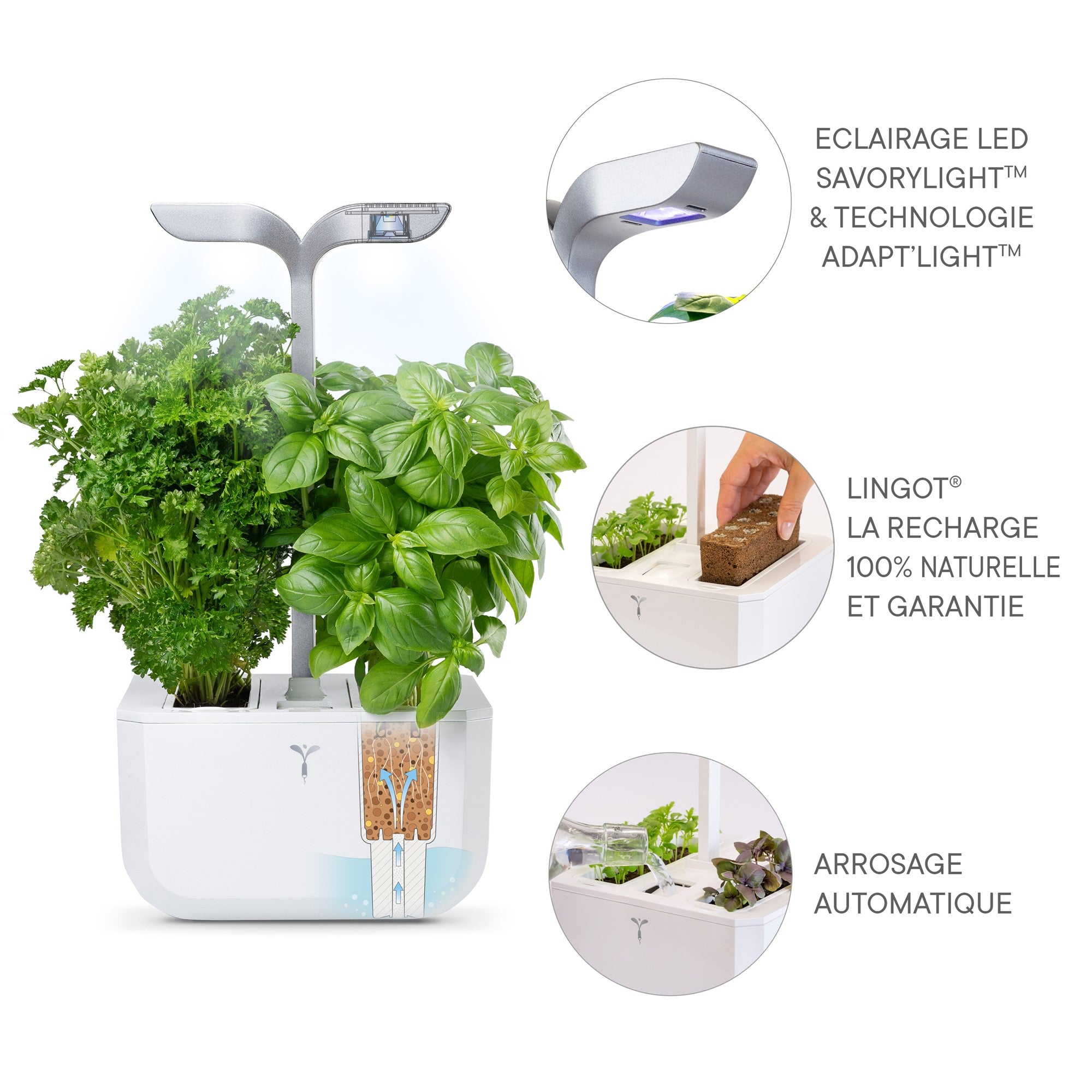 Exky® SMART Indoor Garden